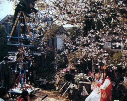 林黛玉版福彩3D资料揭秘，冷号背后的情感之谜——葬花之感